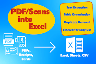 convert PDF scans or images to organized excel sheets