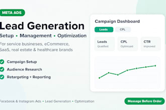 setup and manage meta ads for lead generation