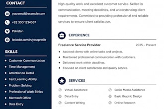 write professional resume, CV and cover letter for jobs