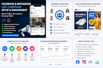 run facebook and instagram ads and manage meta advertising campaigns