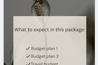 give examples of budget planners