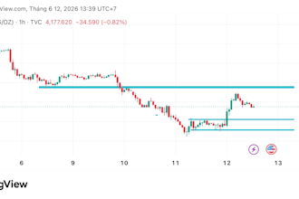 provide institutional market structure and price action