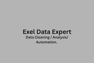 provide secure excel data management cleaning and analysis