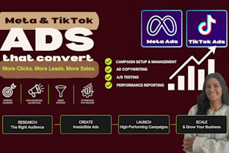 set up and manage facebook ads, instagram ads, meta ads and tiktok ads campaigns