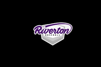 design top quality youth baseball team logo
