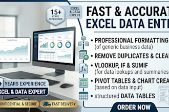 do excel data entry, reports and advanced functions