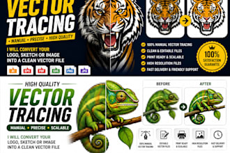 convert your illustration or image to clean vector manually