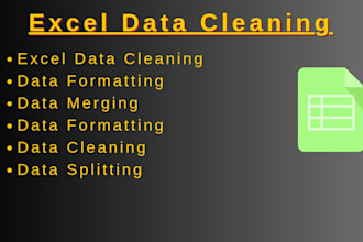 clean, format, merg, split excel data