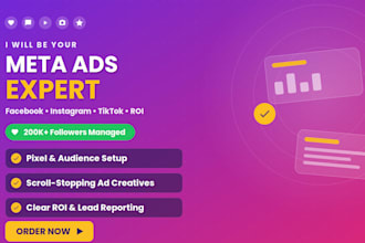 do facebook ads campaign, meta ads management and tiktok ads setup