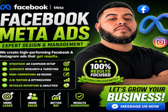 setup and manage meta ads marketing campaigns meta ads manager and facebook ads