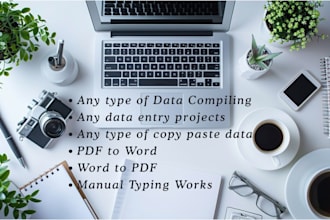 do data entry type hand written notes or convert PDF to  word in 24 hours