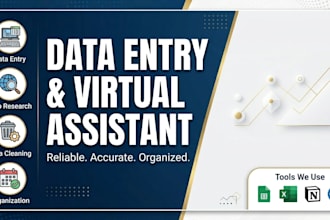 be your virtual assistant for professional data entry, excel, and notion