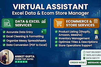 ecommerce store manager and professional data entry expert