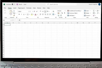 do accurate data entry and excel spreadsheet work