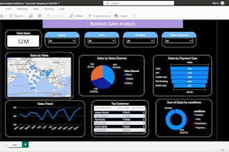 create a professional excel or power bi dashboard for your business data