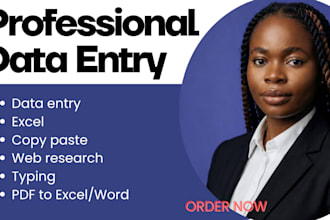 do accurate excel data entry and copy paste work