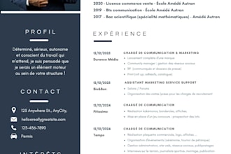 design a professional modern cv and resume
