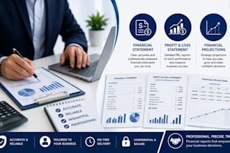 prepare projections, profit and loss, and financial statements