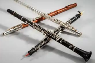 record professional flute, piccolo, and clarinet to your music tracks