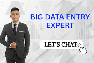 help on big data entry project