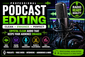 professionally tune, edit, clean and enhance your podcast or voice over audio