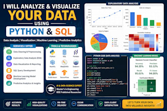 perform python data analysis, sql queries, and data visualization