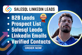 salesql linkedin leads verified emails company info b2b prospect list icp based