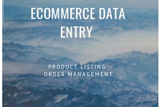 do ecommerce data entry tasks