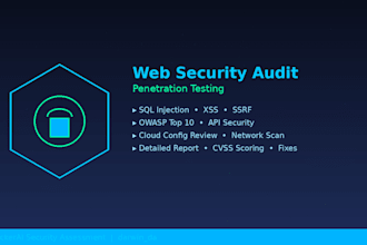 do a professional web security audit and penetration test