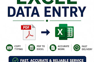 do excel data entry, PDF to excel and copy typing