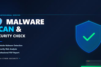 discover critical security vulnerabilities in your website