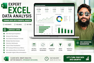 do excel data analysis, and statistical visualization