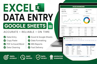 excel data entry, data cleaning and google sheets work