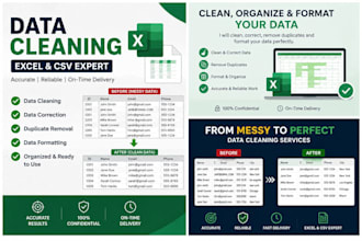 clean format and organize excel data