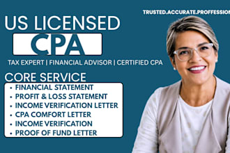 provide monthly financial reporting services as a CPA expert