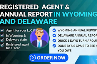 file annual report, be registered agent in wyoming and delaware as a US CPA