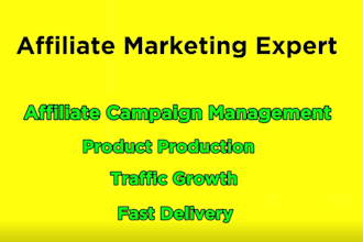 do professional affiliate marketing and promote your product
