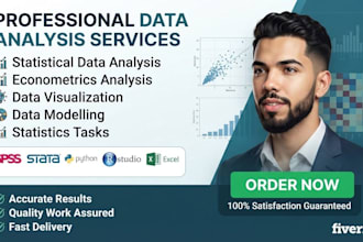 do econometrics, statistical data analysis with spss,stata,rstudio,python,excel