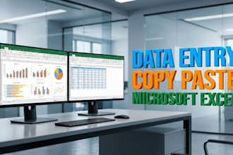 do professional data entry and excel web research
