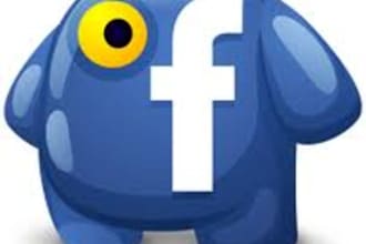 send 400 US facebook fans and likes, no administrator access needed, deliver wthin 48 hours
