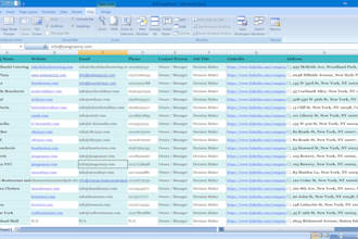 provide premium excel data cleaning, formatting and deduplication