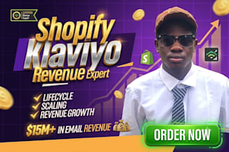 klaviyo email marketing shopify email campaign klaviyo flows setup shopify email