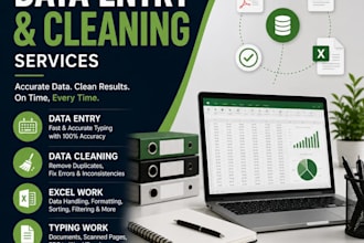 do data entry, cleaning of excel data and typing