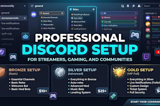 setup a professional discord server