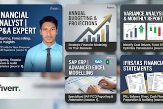 financial analysis, planning, budgeting, and financial modeling services