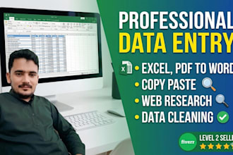 be your virtual assistant for data entry and excel typing