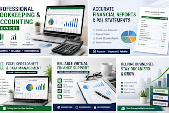do bookkeeping, accounting, financial reports