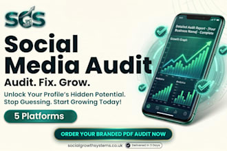 do an expert social media audit and action plan