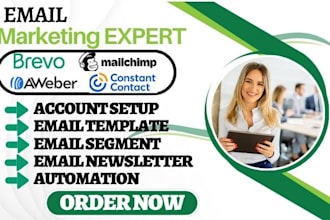 do brevo email marketing campaign newsletter automation flows form integration