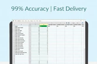 accurate exl data entery typing and spreadsheet work